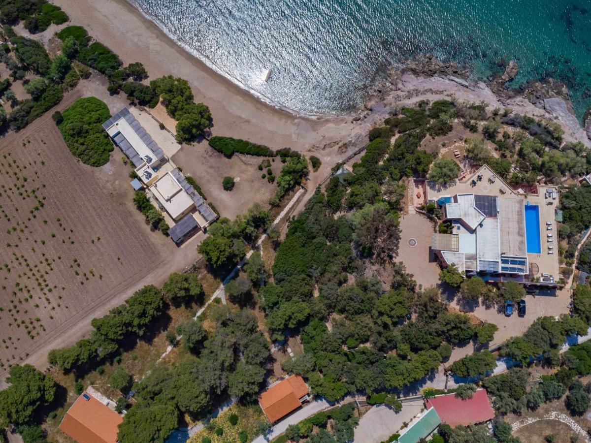 Black Diamond Beachfront Pool Villa Pasithea In Sounio, Athens Kap Kap Sounion Exterior foto