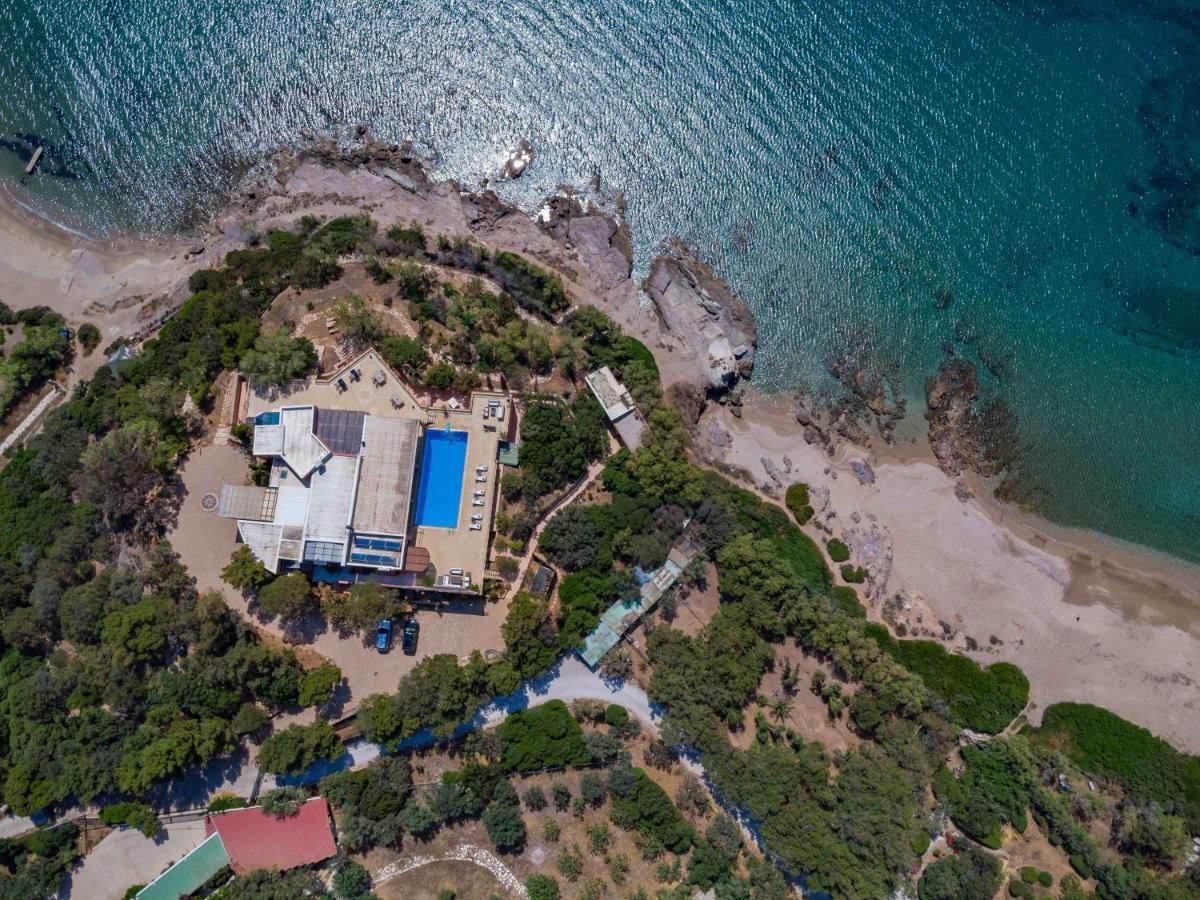 Black Diamond Beachfront Pool Villa Pasithea In Sounio, Athens Kap Kap Sounion Exterior foto