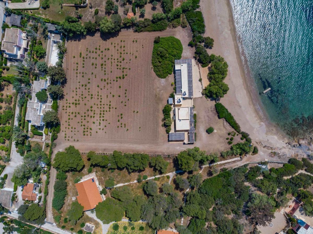Black Diamond Beachfront Pool Villa Pasithea In Sounio, Athens Kap Kap Sounion Exterior foto